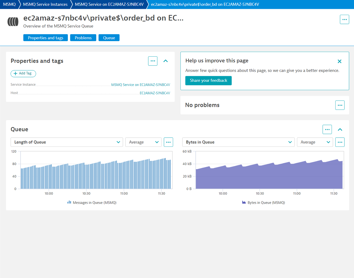 Microsoft Message Queuing (MSMQ) monitoring & observability | Dynatrace Hub