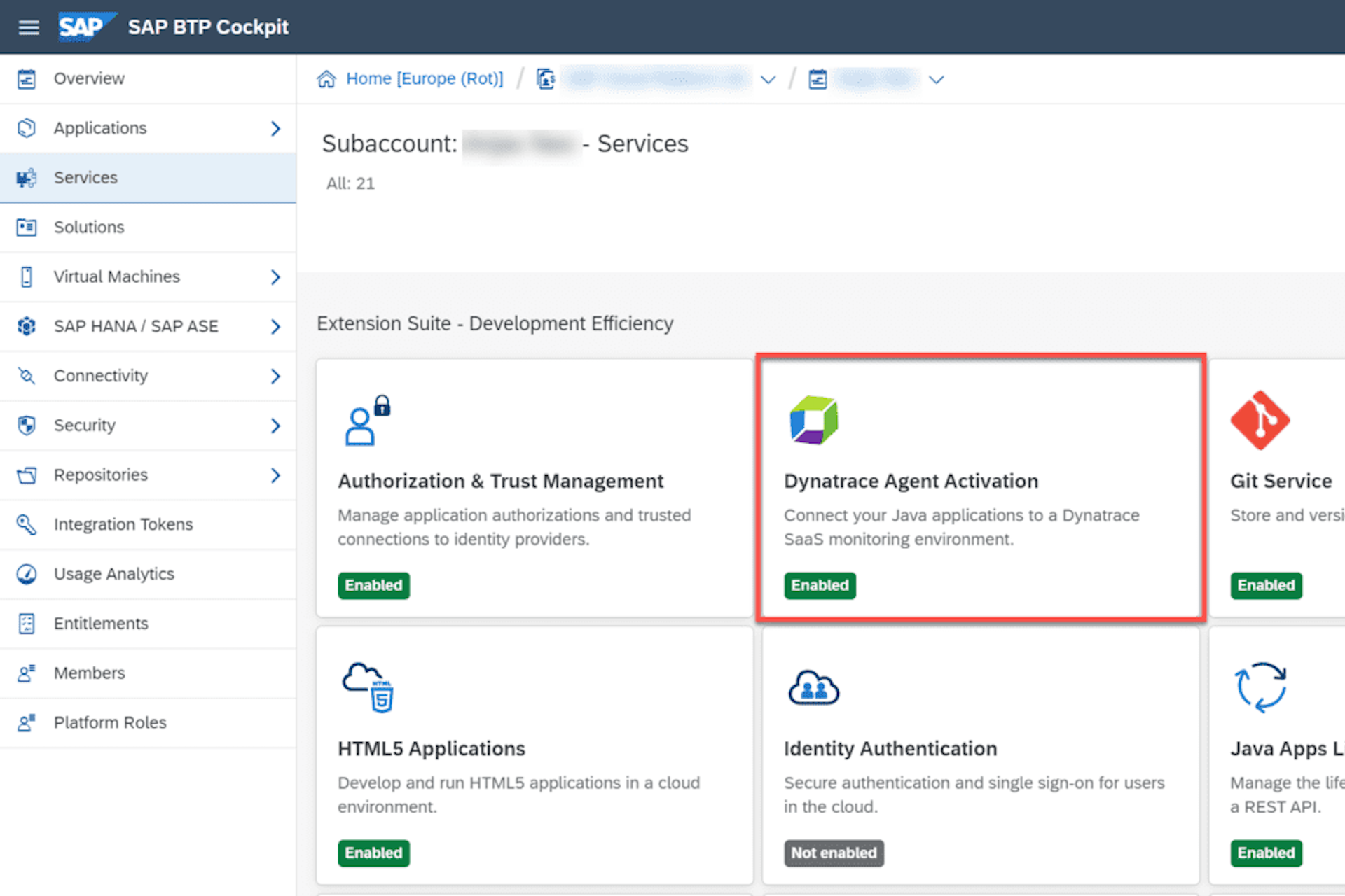 SAP provides the Dynatrace Agent Activation Neo service which allows you to connect your Java applications to your Dynatrace monitoring environment.