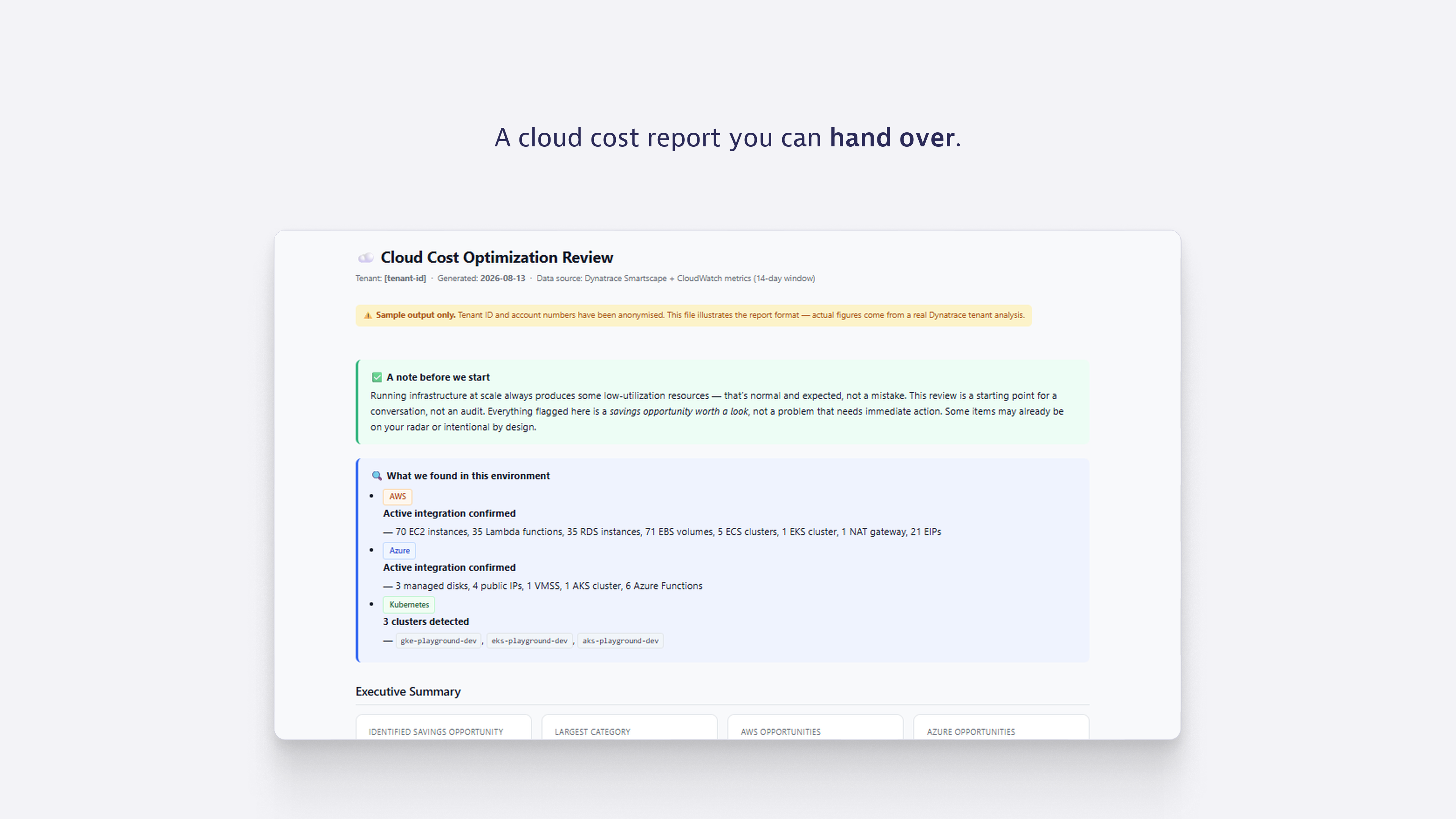 A cloud cost report you can hand over.