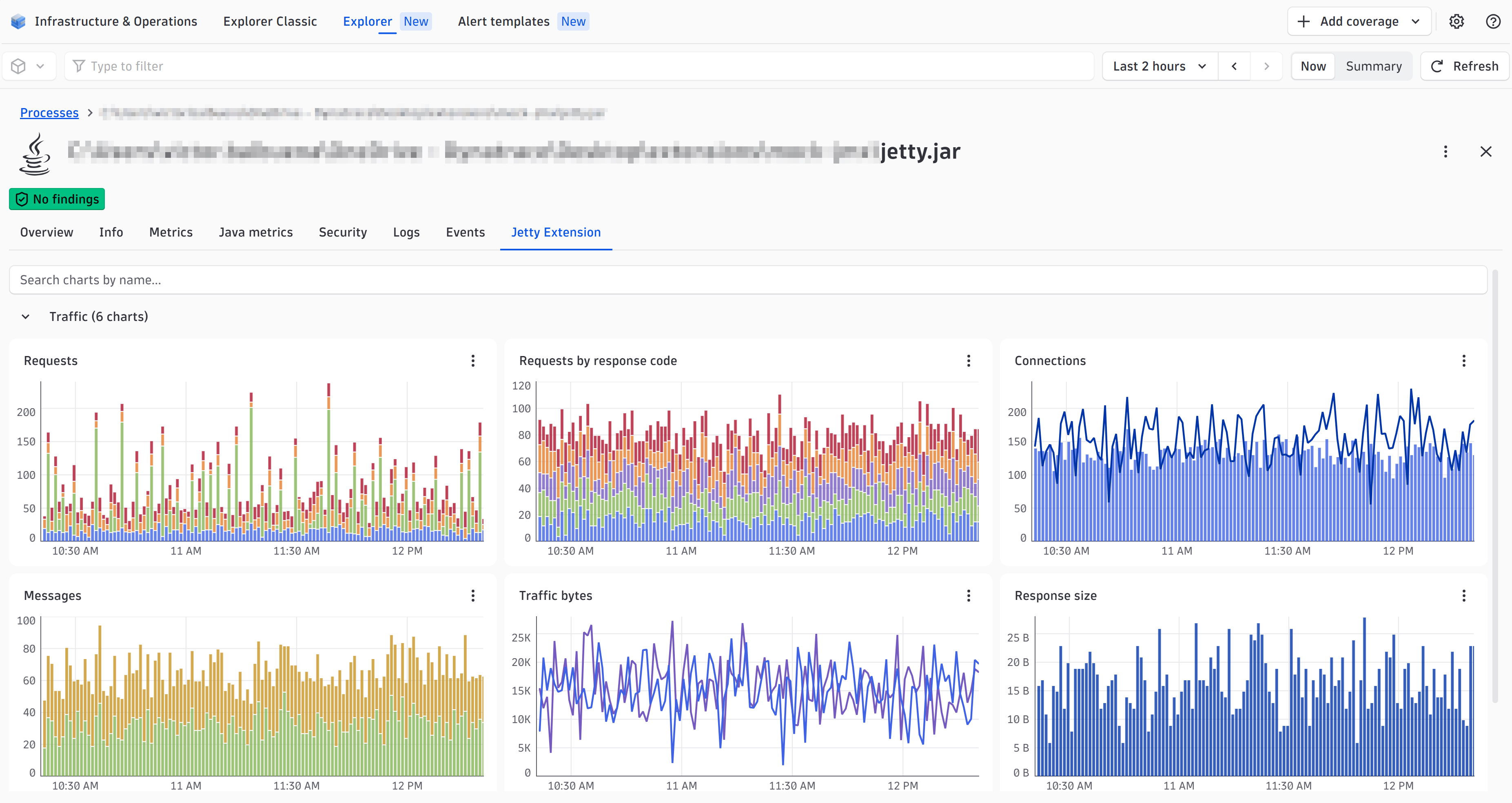 Track Jetty requests, response codes, connections, and traffic in six charts built into your process view.