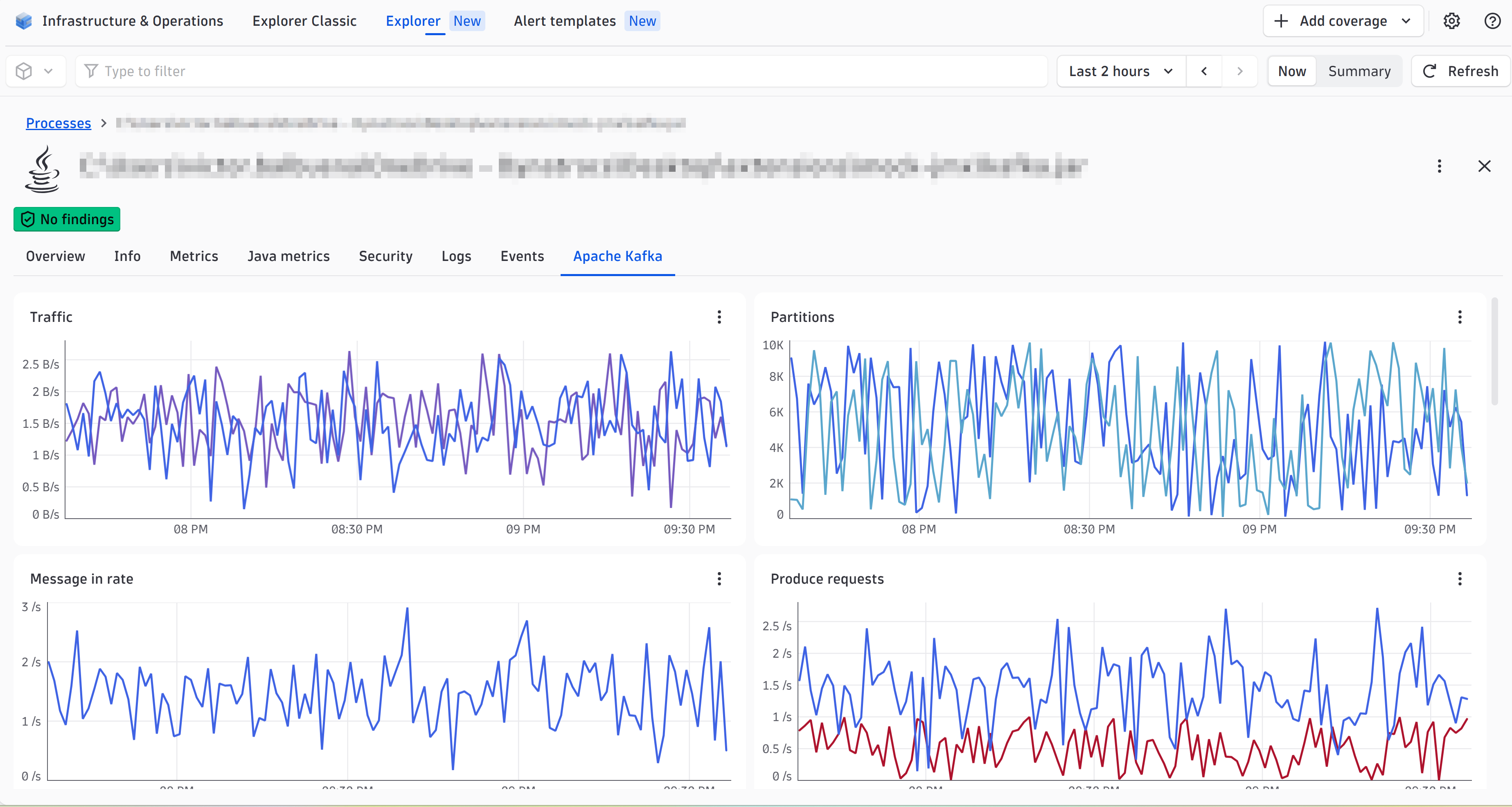 Kafka insights injected directly on the native process entity, exactly where you need them.