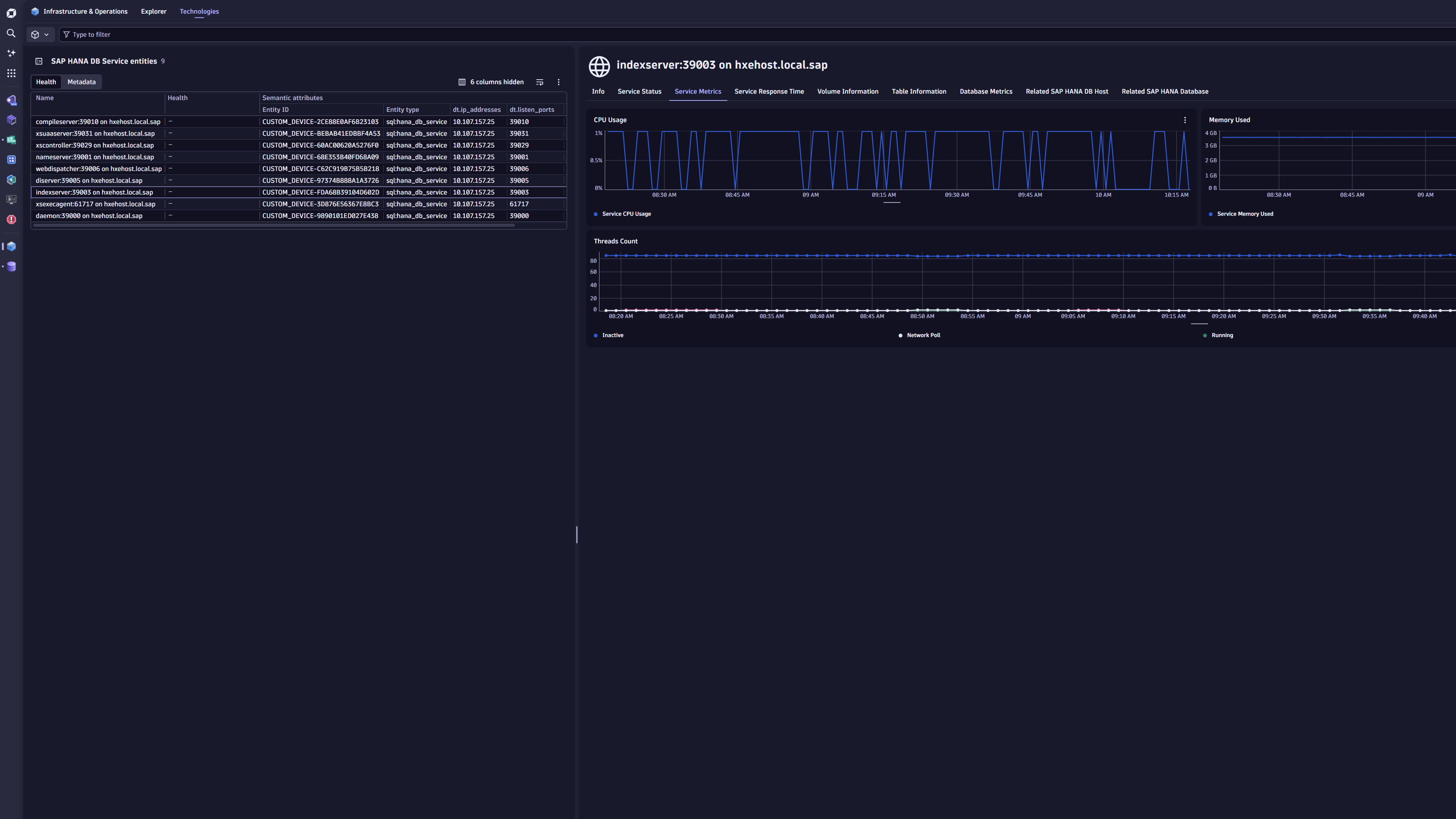 The SAP HANA DB Services in the Infrastructure & Operations App
