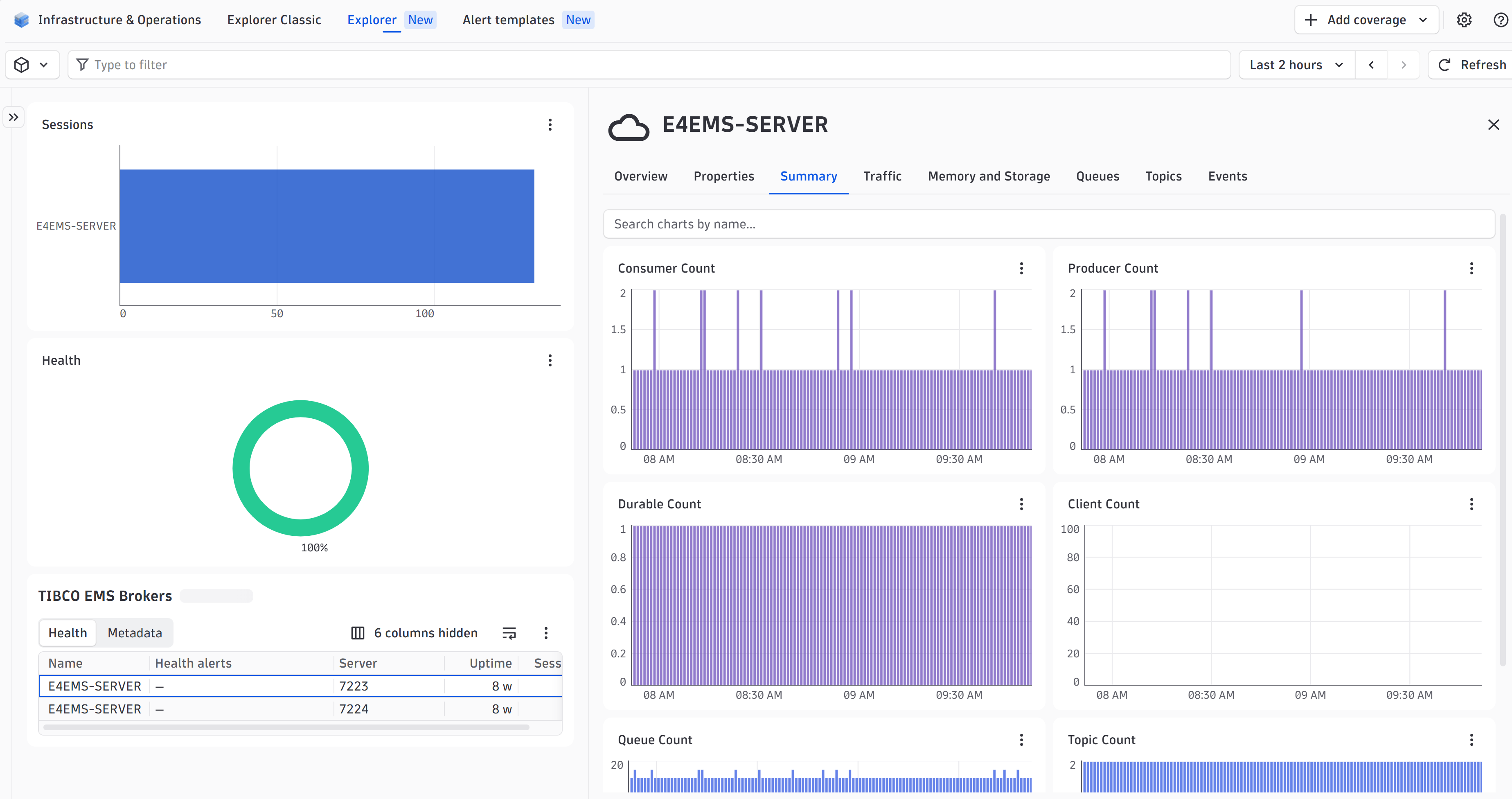 Zoom into a single broker, queue, topic or durable to watch data move in real time.
