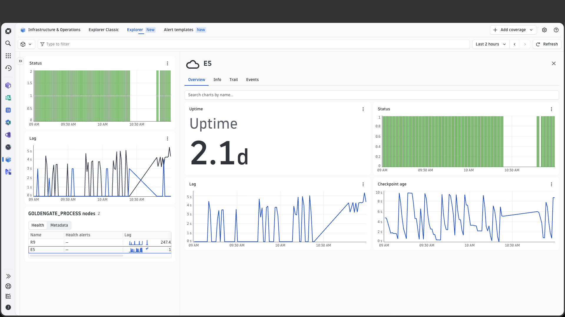 Platform Process smartscape node page