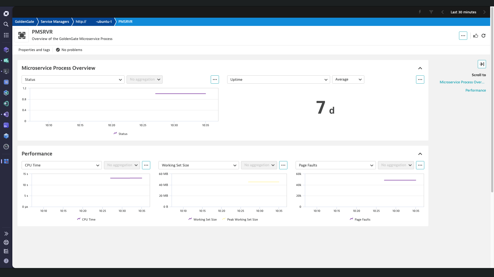 Classic Microservice entity page