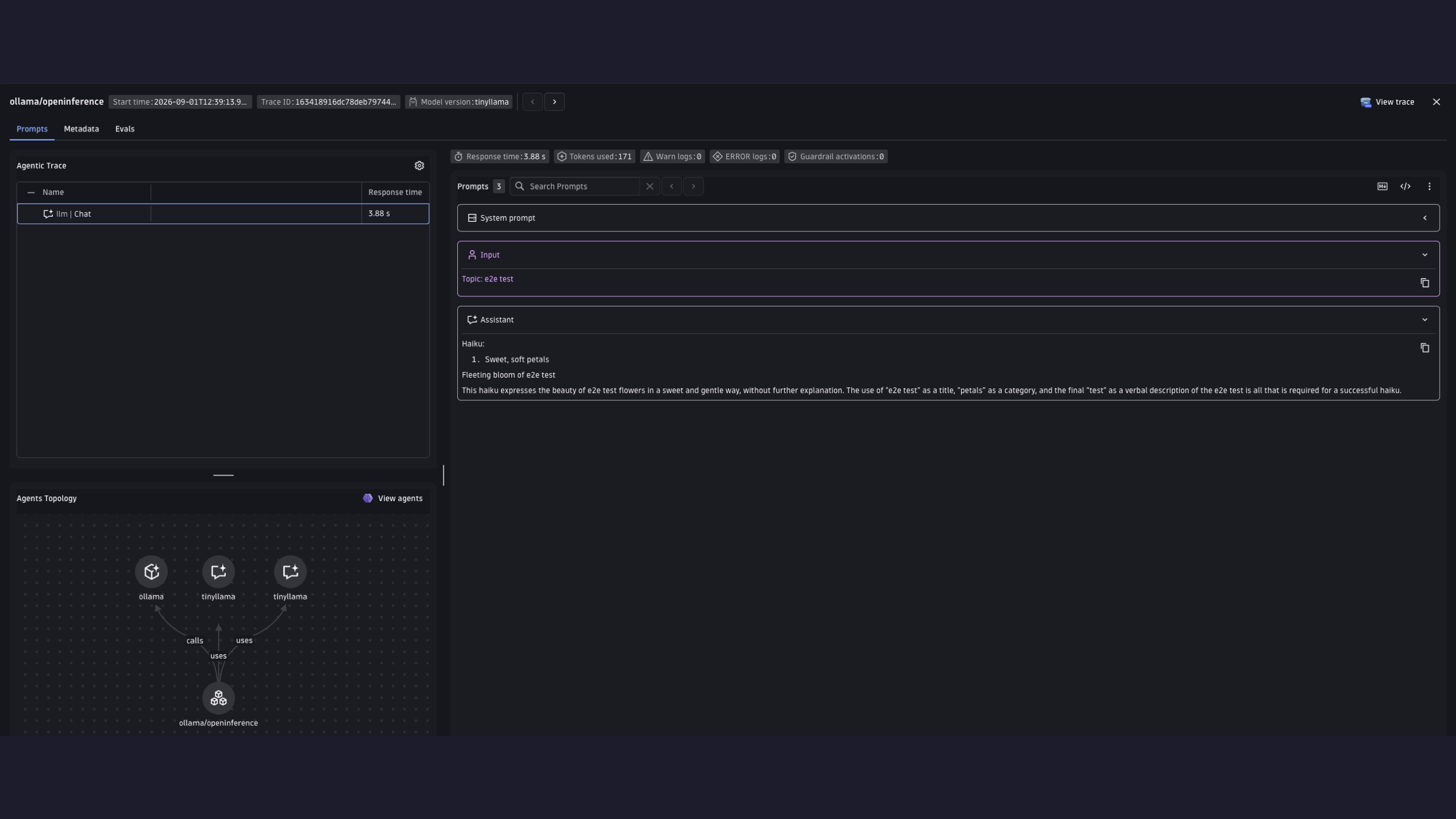 Prompt and trace details of an Ollama request